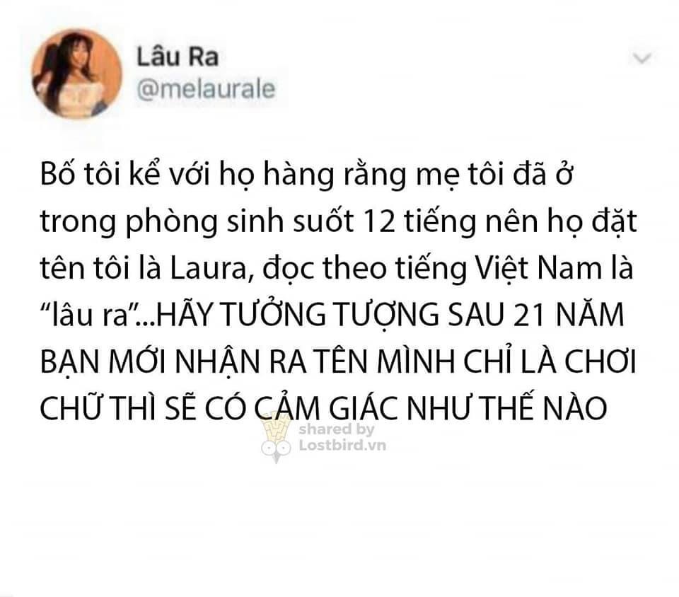 Ảnh chế Nguồn: Bí Mật Cuộc Sống
