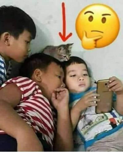 Ảnh chế Nguồn: Bí Mật Cuộc Sống