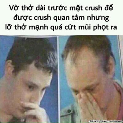 Ảnh chế Nguồn: Bí Mật Cuộc Sống