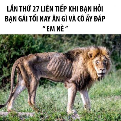 Ảnh chế Nguồn: Bí Mật Cuộc Sống
