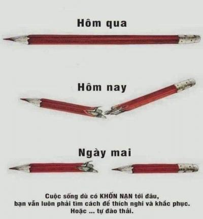 Ảnh chế Nguồn: Bí Mật Cuộc Sống