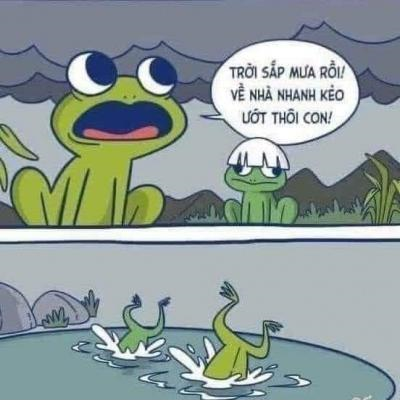 Ảnh chế Nguồn: Bí Mật Cuộc Sống