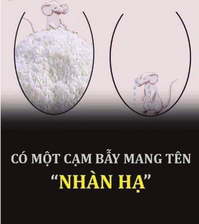 Ảnh chế Nguồn: Bí Mật Cuộc Sống