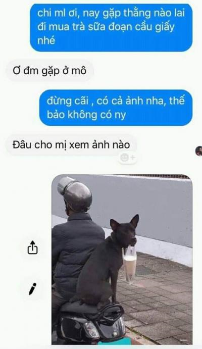 Ảnh chế Nguồn: Bí Mật Cuộc Sống