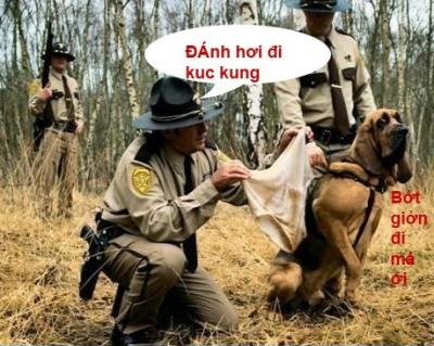 Ảnh chế Nguồn: Bí Mật Cuộc Sống