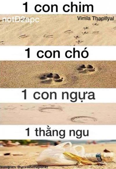 Ảnh chế Nguồn: Bí Mật Cuộc Sống
