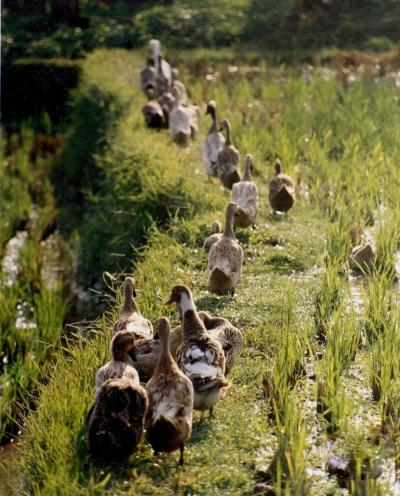 Ảnh chế Nguồn: Bí Mật Cuộc Sống