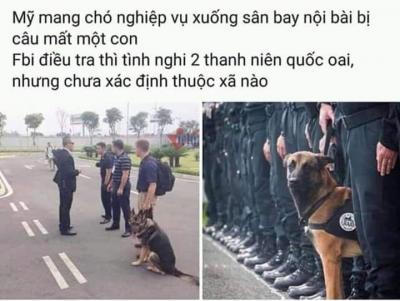 Ảnh chế Nguồn: Bí Mật Cuộc Sống