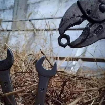 Ảnh chế Nguồn: Bí Mật Cuộc Sống