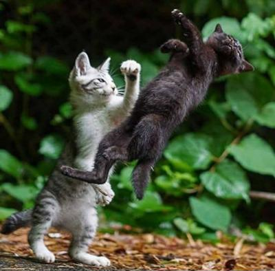 Ảnh chế Nguồn: Bí Mật Cuộc Sống