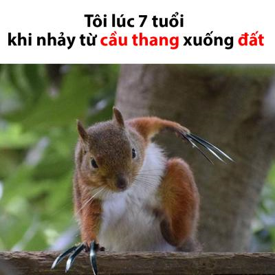 Ảnh chế Nguồn: Bí Mật Cuộc Sống