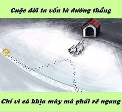 Ảnh chế Nguồn: Bí Mật Cuộc Sống