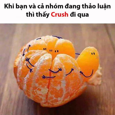 Ảnh chế Nguồn: Bí Mật Cuộc Sống