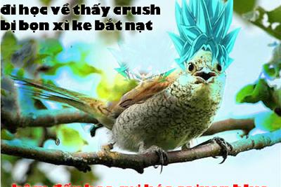 Ảnh chế Nguồn: Bí Mật Cuộc Sống
