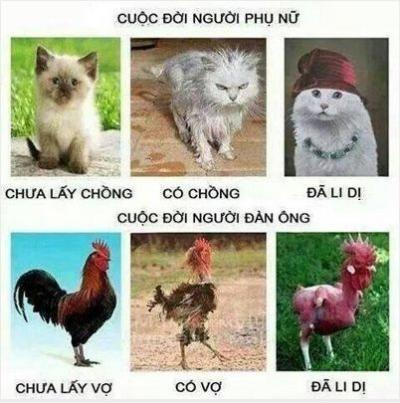 Ảnh chế Nguồn: Bí Mật Cuộc Sống