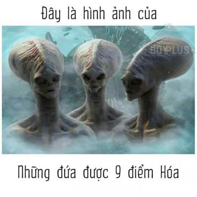 Ảnh chế Nguồn: Bí Mật Cuộc Sống