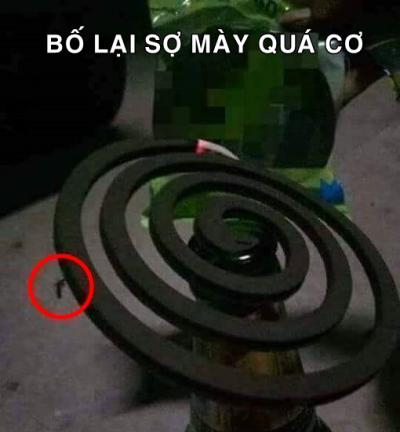 Ảnh chế Nguồn: Bí Mật Cuộc Sống