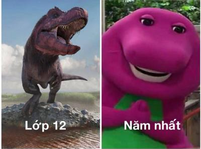 Ảnh chế Nguồn: Bí Mật Cuộc Sống