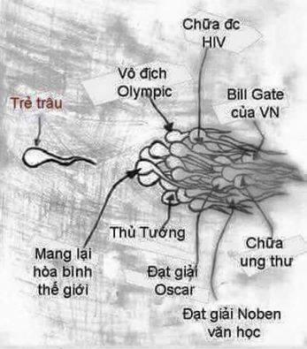 Ảnh chế Nguồn: Bí Mật Cuộc Sống