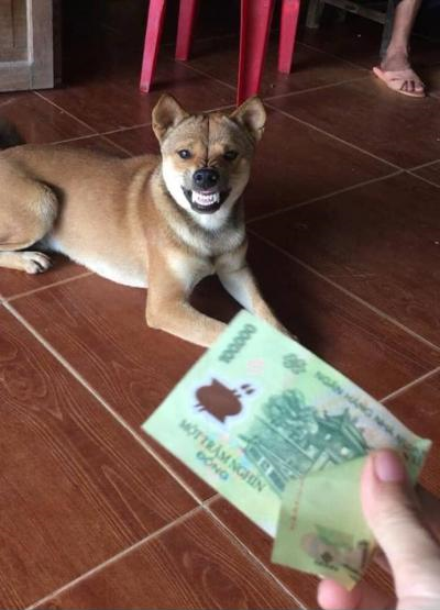 Ảnh chế Nguồn: Bí Mật Cuộc Sống