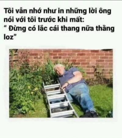 Ảnh chế Nguồn: Bí Mật Cuộc Sống