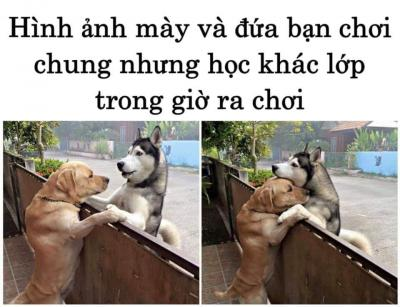 Ảnh chế Nguồn: Bí Mật Cuộc Sống